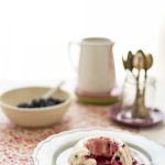 bavarese allo yogurt con mirtilli - Yogurt and blueberries bavaroise