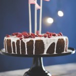 torta al cacao Baileys e mirtilli rossi - Chocolate Baileys and cranberry cake